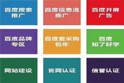 实战派经验分享：百度竞价代理成功案例揭秘